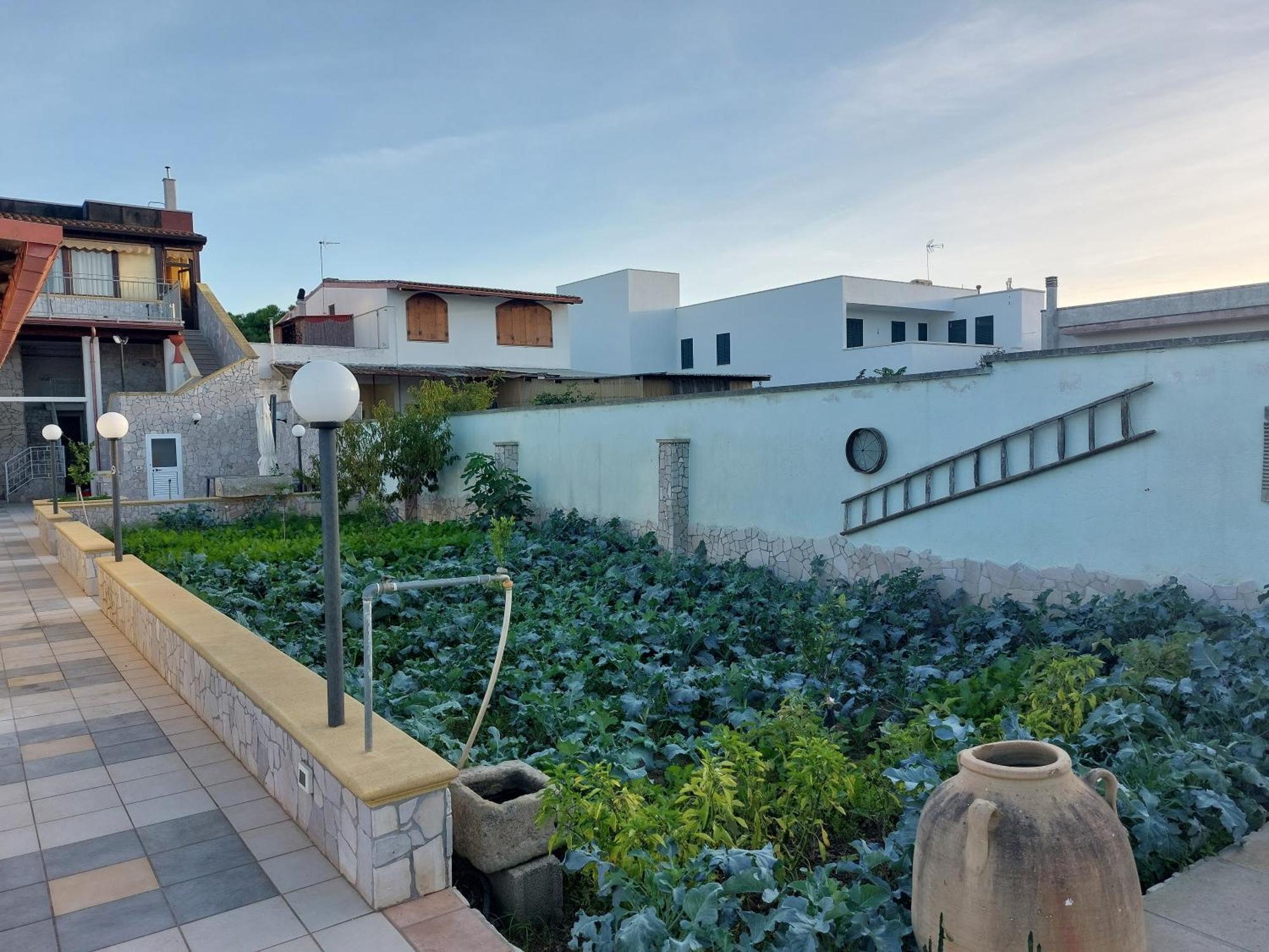 Oltremare Hotel Vignacastrisi Exterior photo